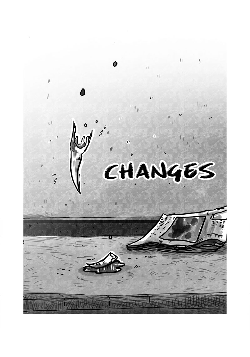 CHANGES cover